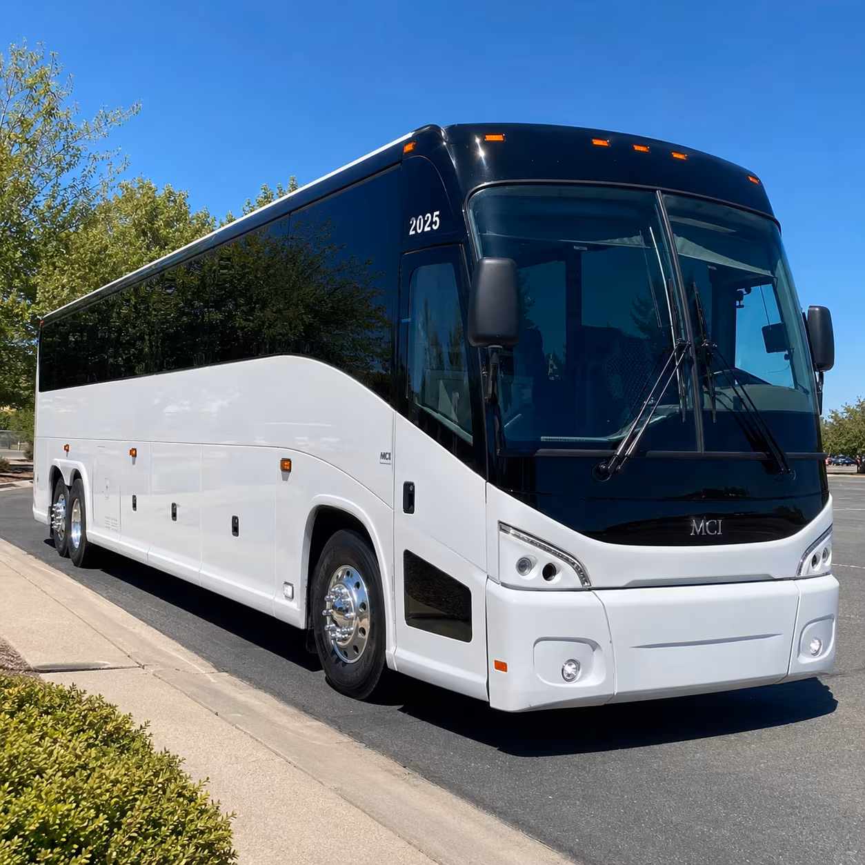 youth group trips to busch gardens williamsburg and kings dominion